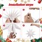 StaticPoster; 3Pcs Paper Star Lantern Lampshade 9 Pointed Star Hanging Decorations for Christmas New Year Wedding Party Holiday Birthday, 13.78 x 13.78 x 5.12 Inch; Category:Ceiling Decorations; Image:4